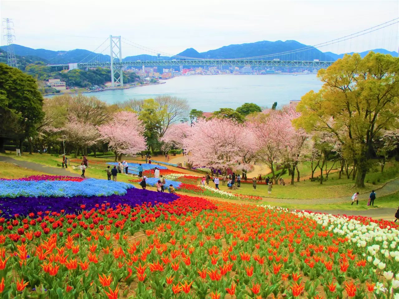 🏞️ 불의 산 공원(히노야마 코엔) 이미지 7